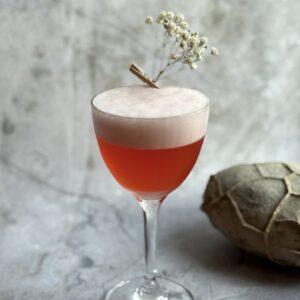 АПЕРОЛЬ САУЭР / APEROL SOUR